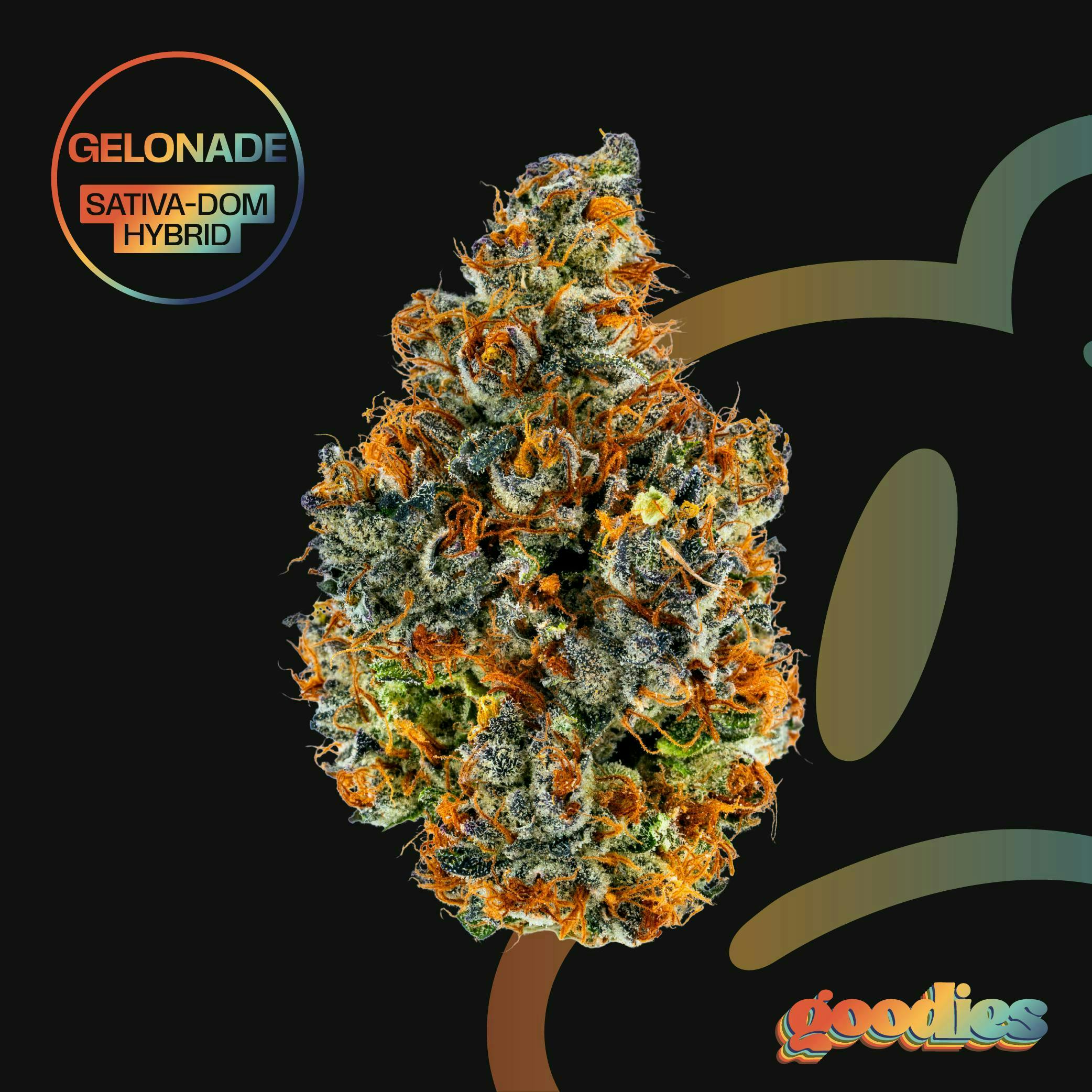 Gelonade | Big Buds | 7g by Goodies