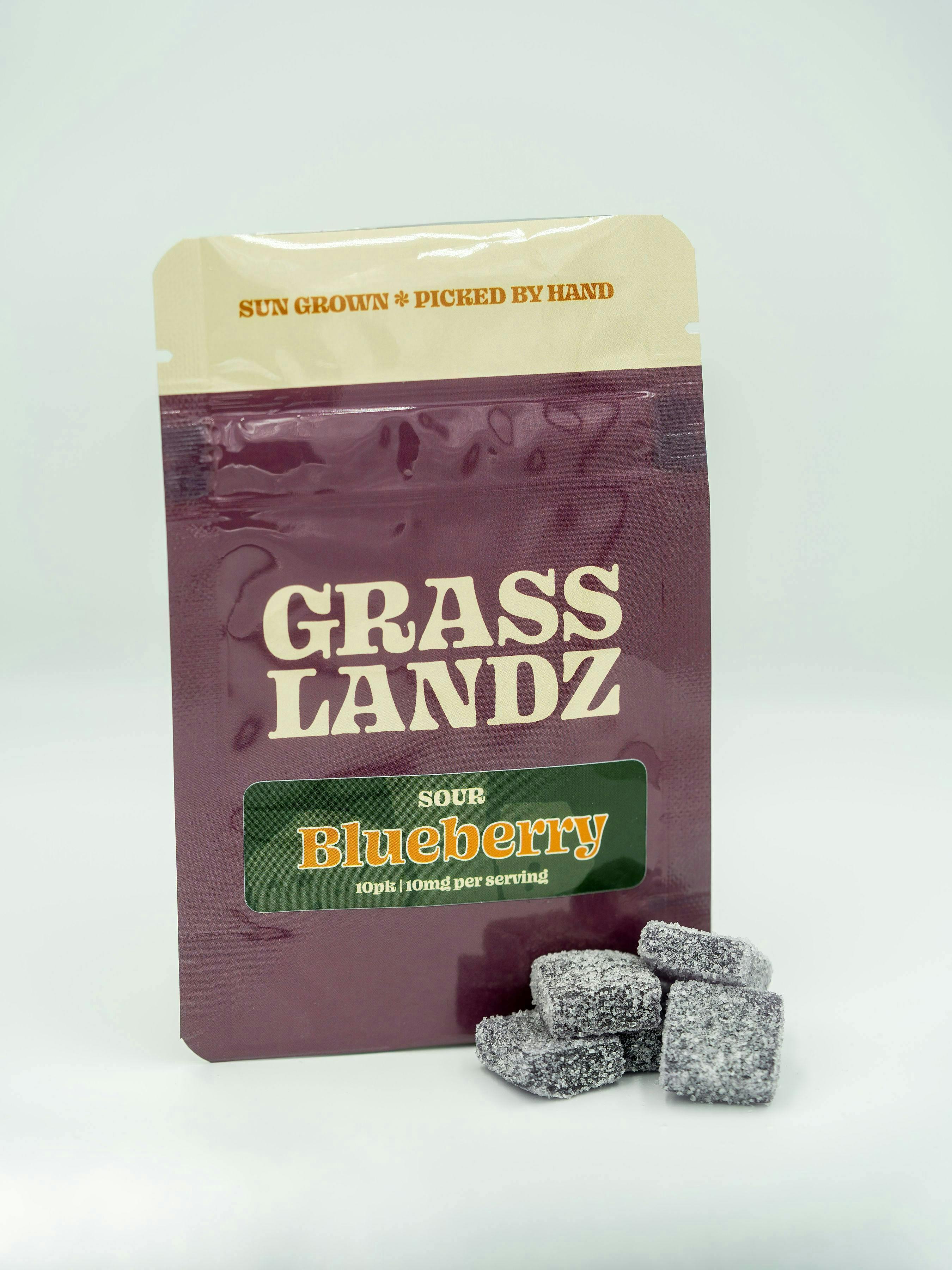 Grasslandz | Sour Blueberry Gummies | 100mg | 10ct | 10 mg/ea