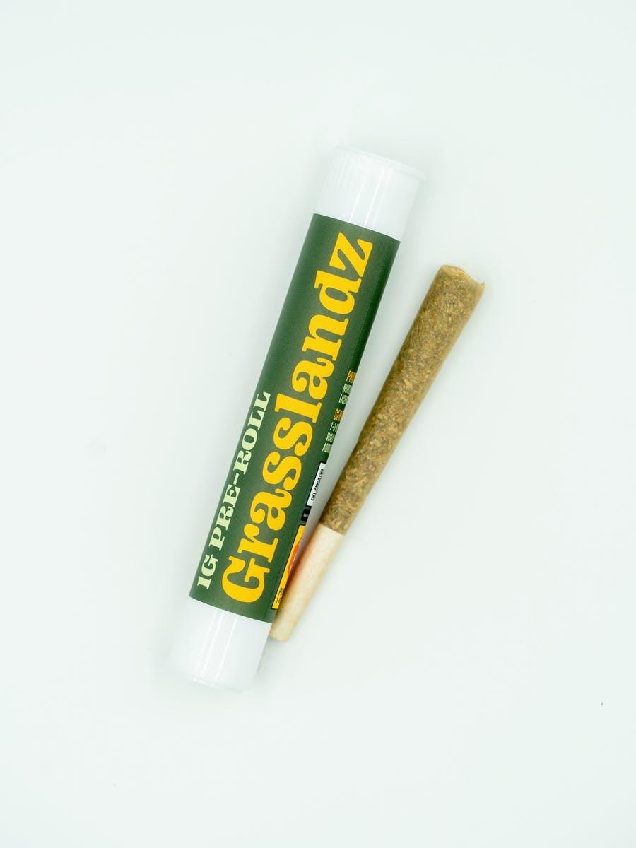 Grasslandz | Glue 31 (GG31) | Joint | 1g