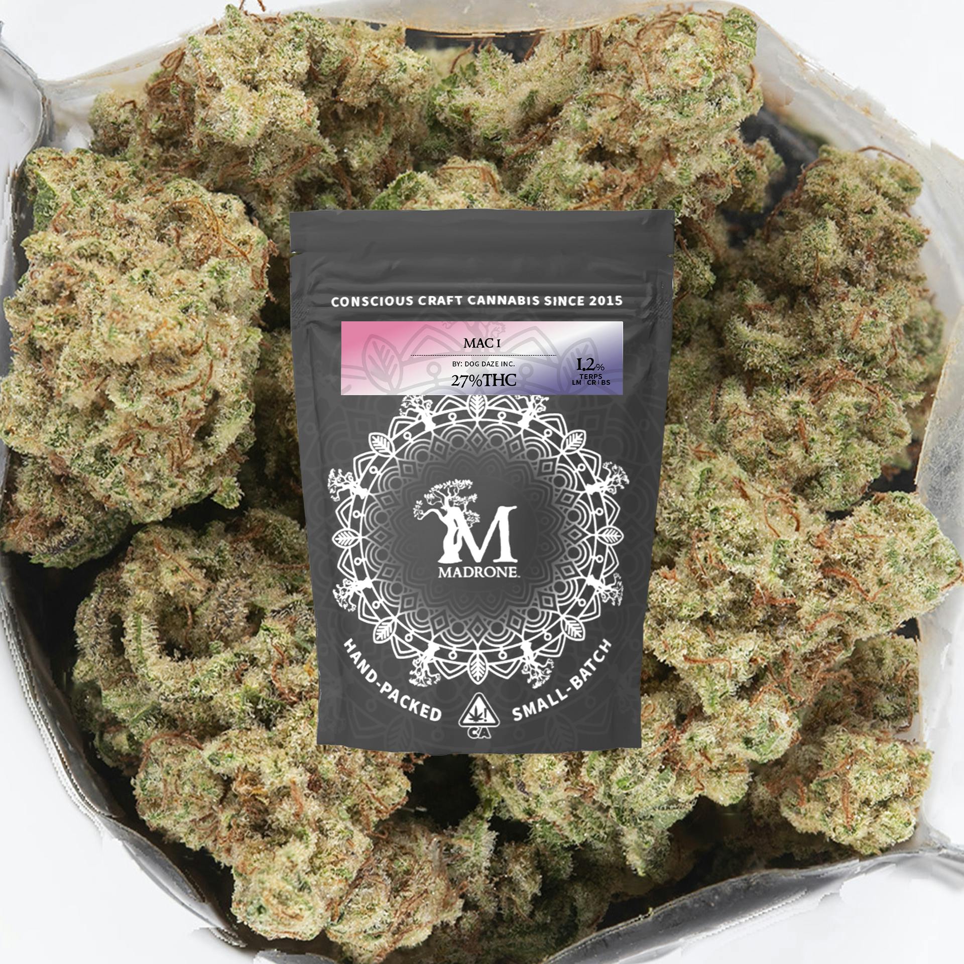 Madrone: MAC #1