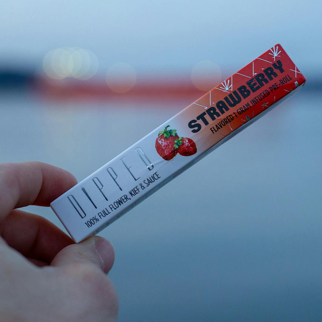 Dipped | Strawberry | Infused Joint | 1g