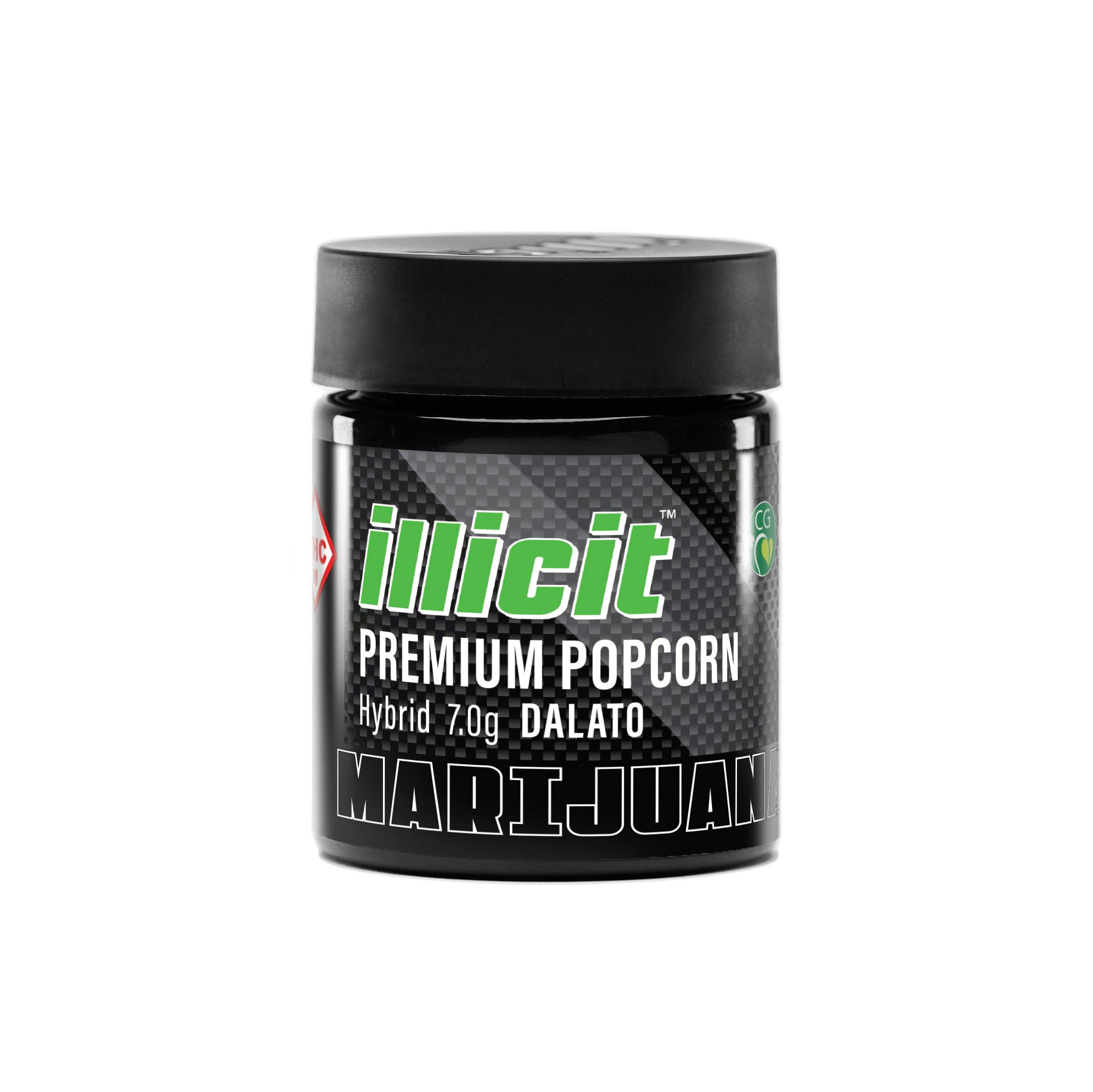 Dalato 7g Popcorn Flower