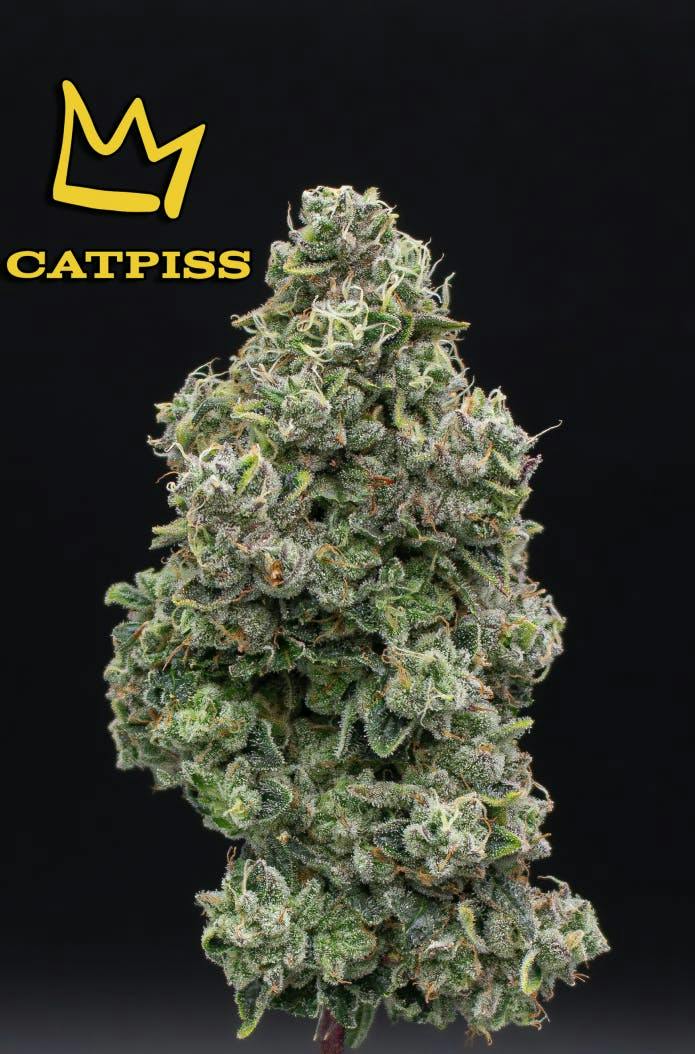 Catpiss | Smalls | 3.5g