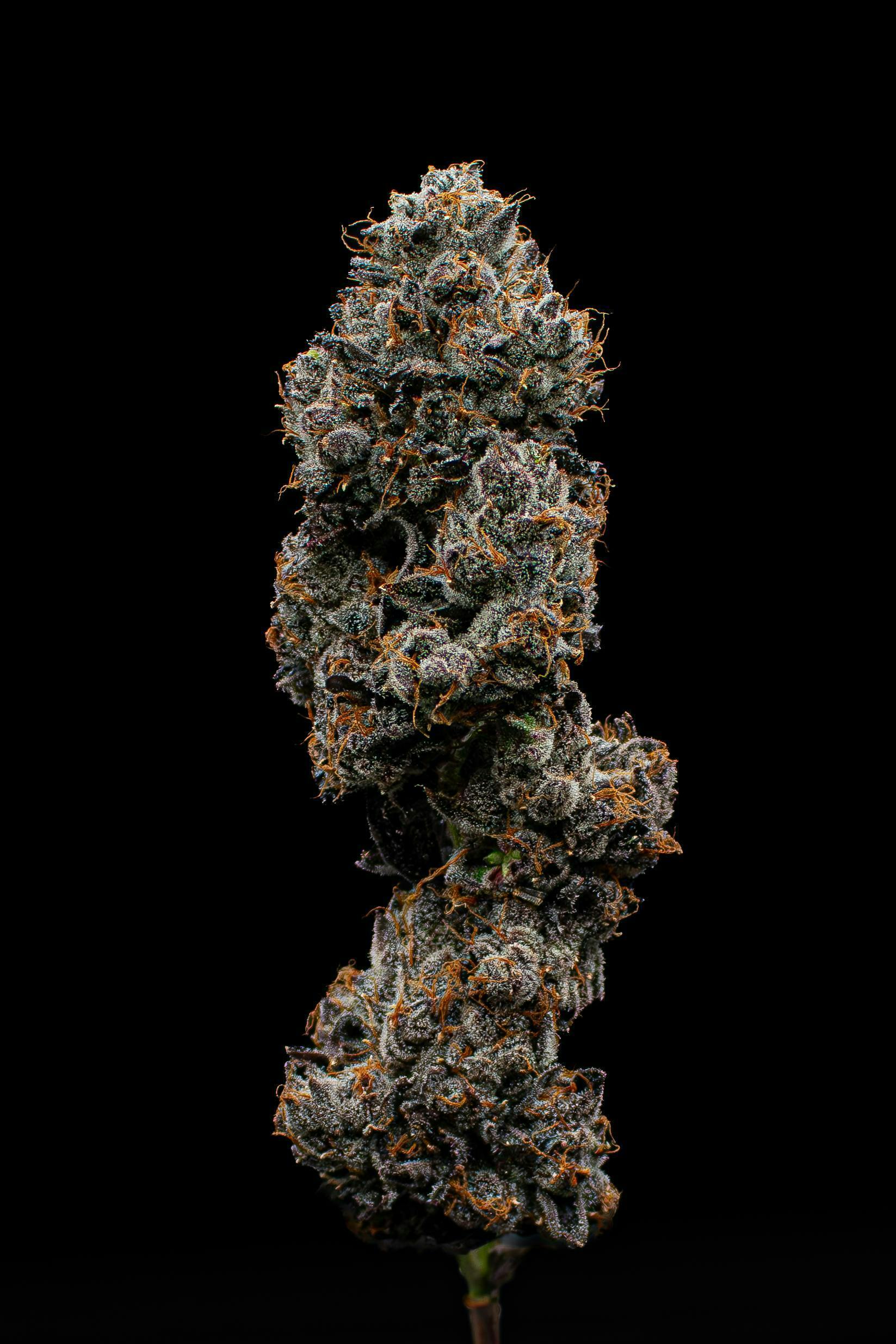 ZaLatto | Value Big Buds | 3.5g by Green Dynasty