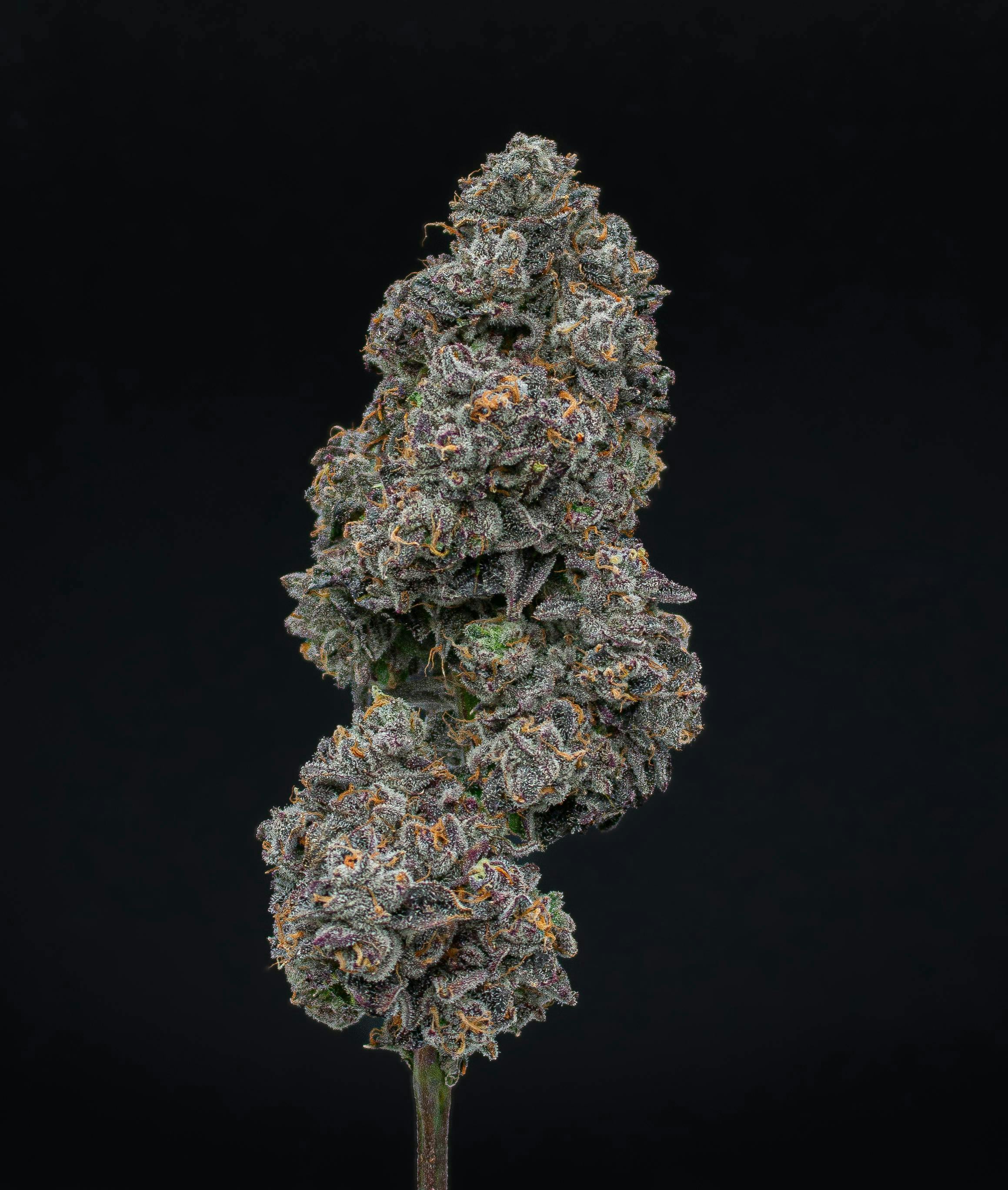 Permanent Marker | Value Big Buds | 3.5g
