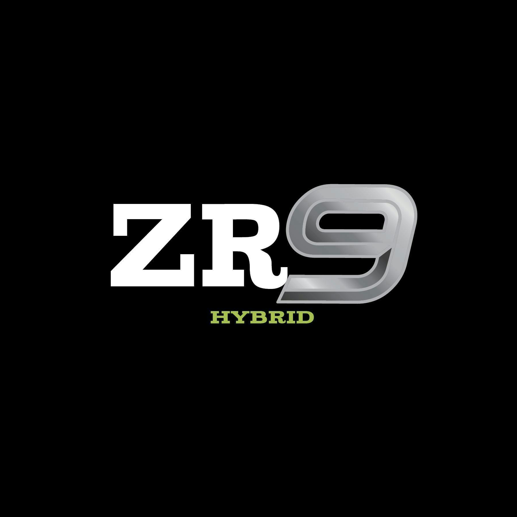 ZR9 | Value Big Buds | 3.5g by Green Dynasty