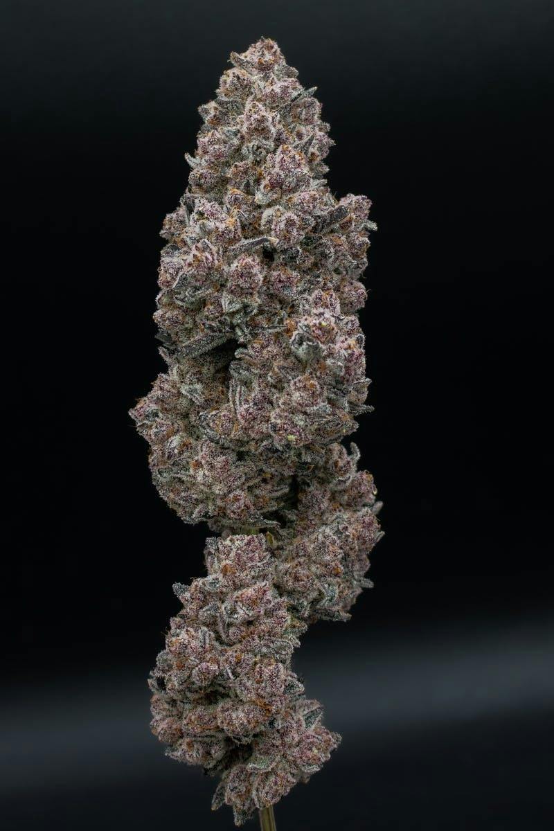Sub Zero | Fresh Big Buds | 3.5g
