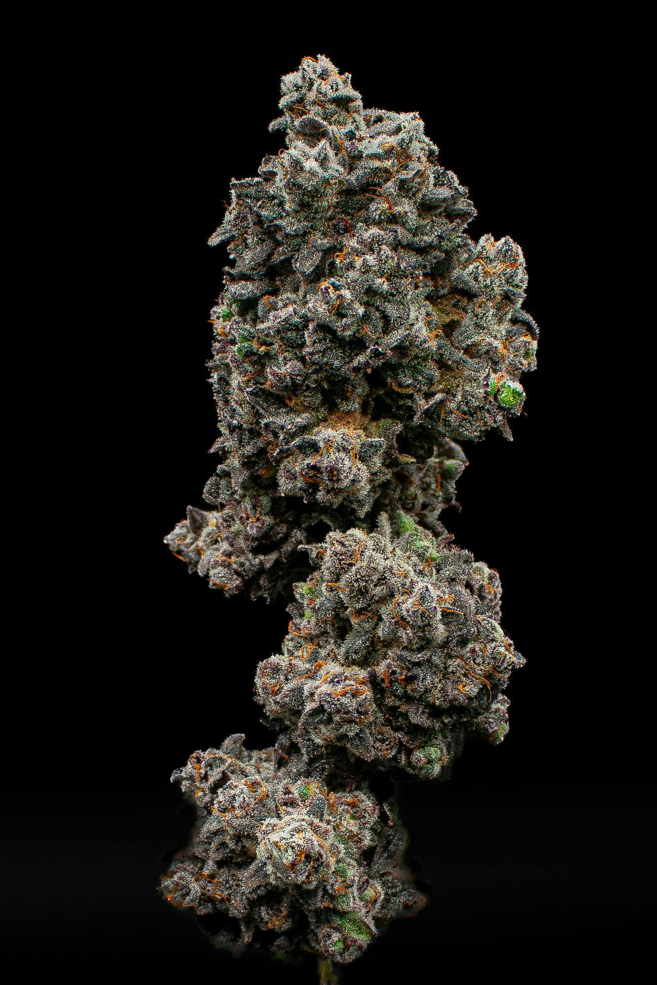 Splash | Value Big Buds | 3.5g