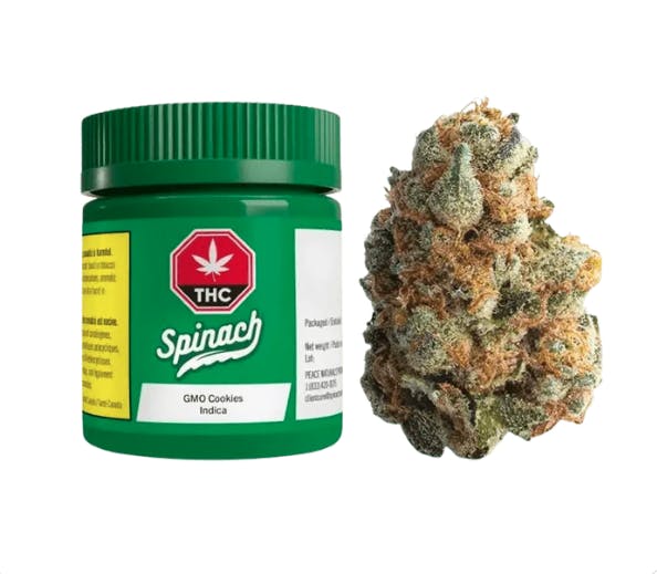 Spinach | GMO Cookies | Big Buds | 14g by Spinach