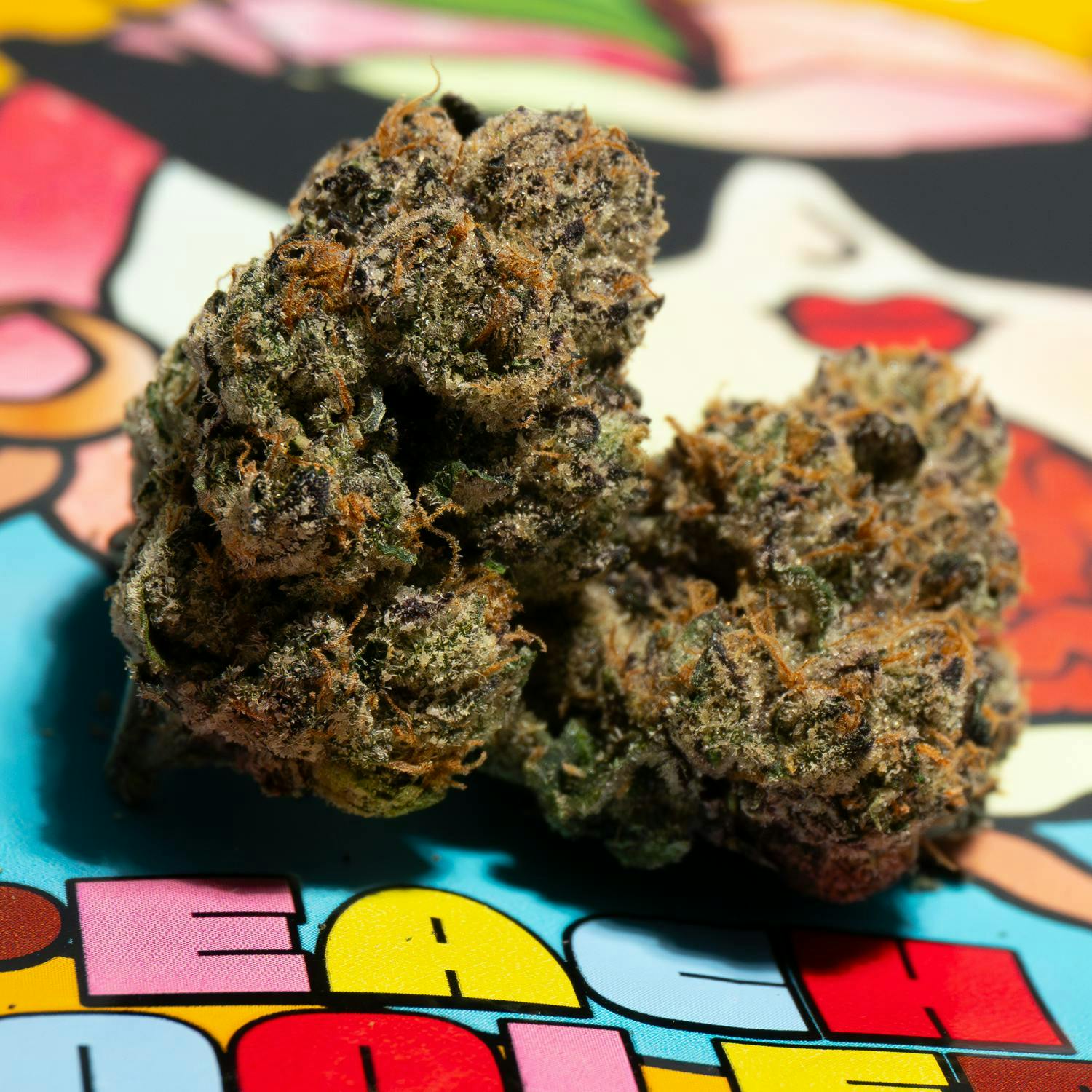 TEDS BUDZ — Peach