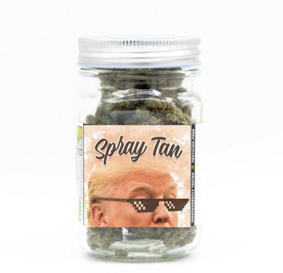 Platinum | Spray Tan | Big Buds | 28g