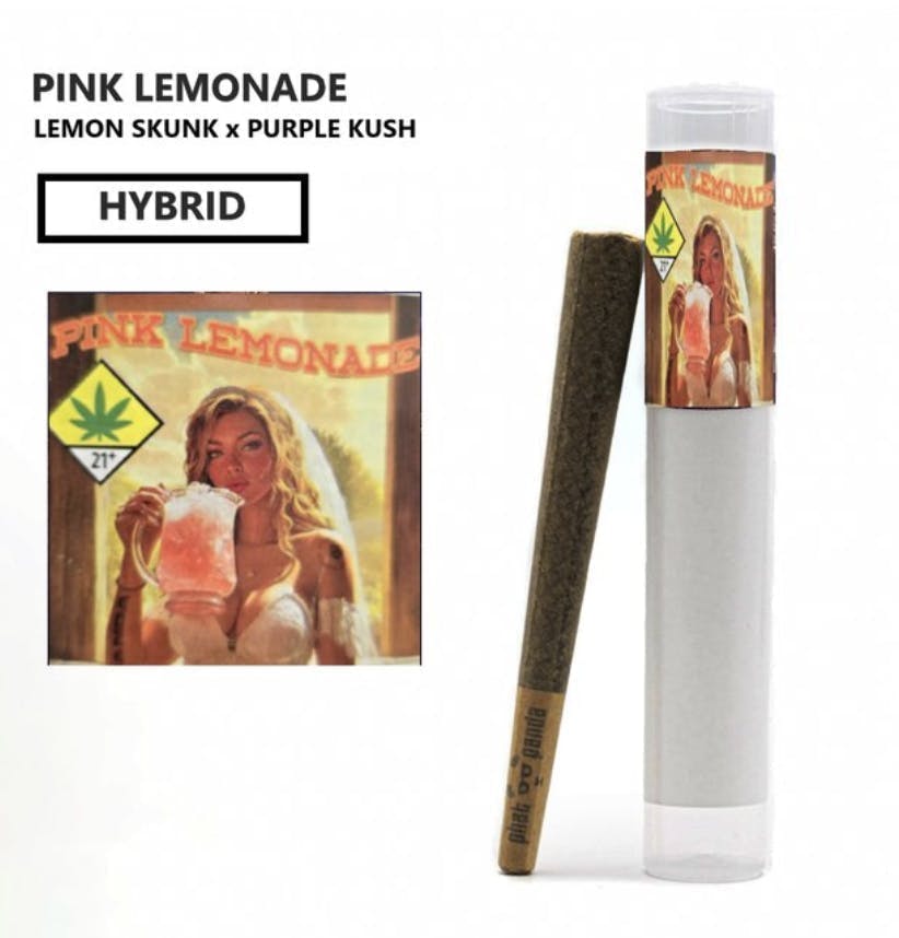 Pink Lemonade | Joint | 1g by Phat Panda