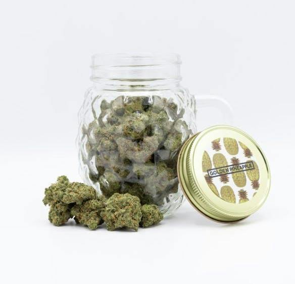 Golden Pineapple Big Buds