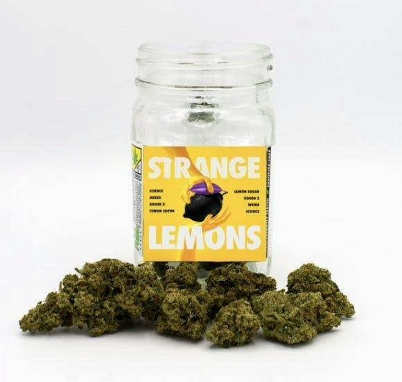 Platinum | Strange Lemons | Big Buds | 7g