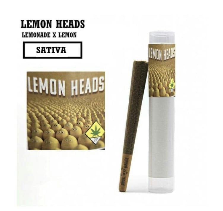 Lemon Heads | Joint | 1g by Phat Panda