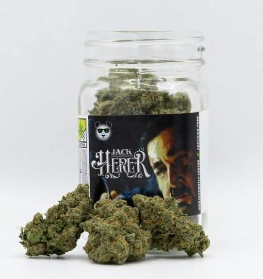Jack Herer | Big Buds | 7g by Phat Panda