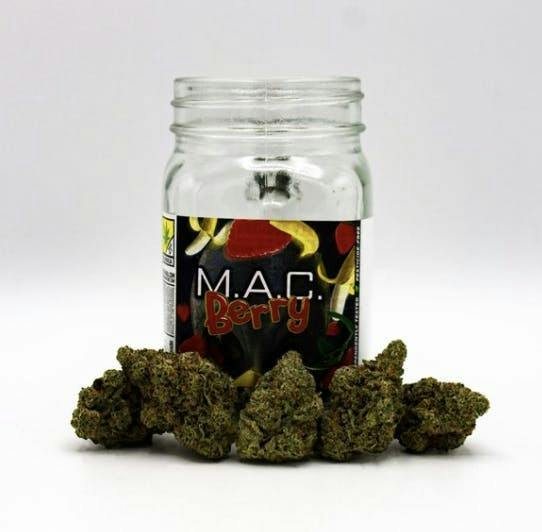 MAC Berry | Big Buds | 3.5g by Phat Panda