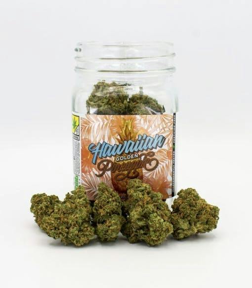 Hawaiian Golden Pineapple | Big Buds | 28g