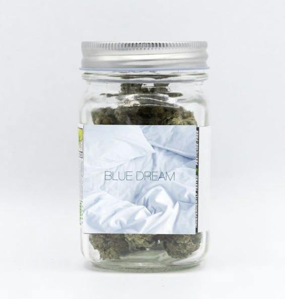 Platinum | Blue Dream | Big Buds | 3.5g by Phat Panda