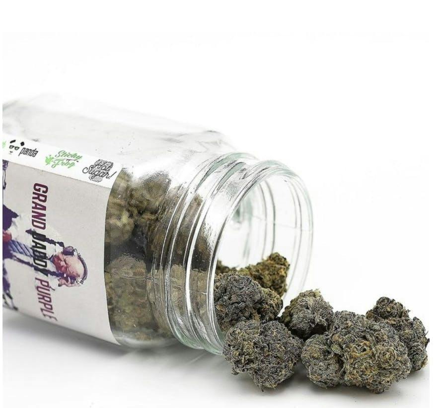 Platinum | Granddaddy Purple | Big Buds | 3.5g by Phat Panda