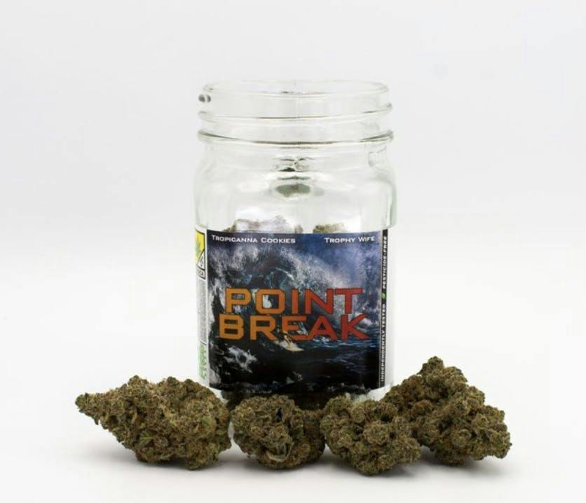 Platinum | Point Break | Big Buds | 3.5g by Phat Panda