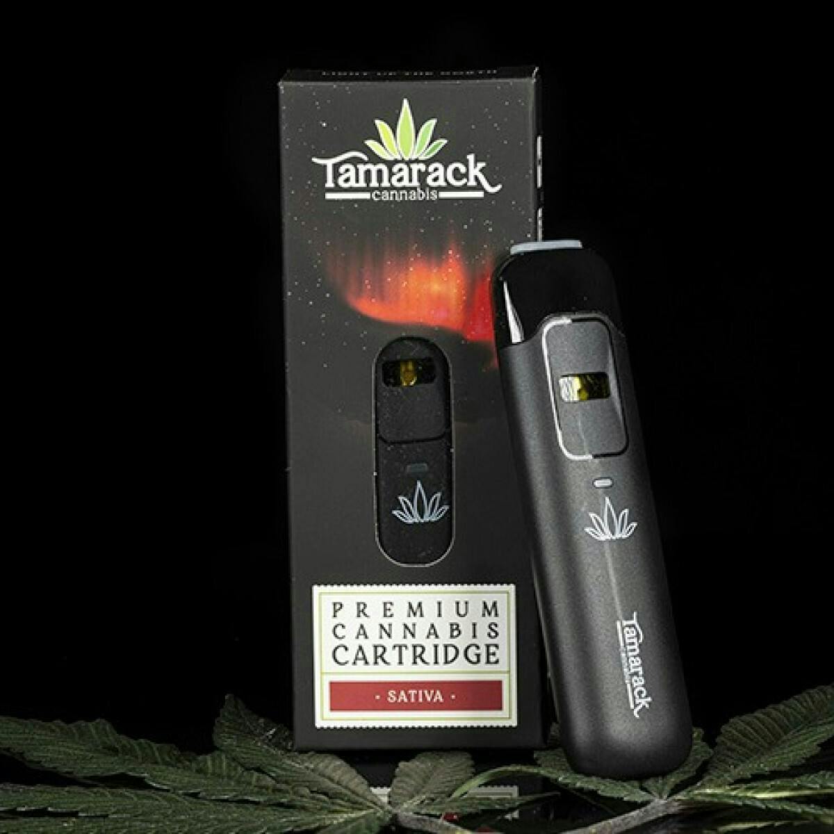 Cuban Black Haze Live Sugar