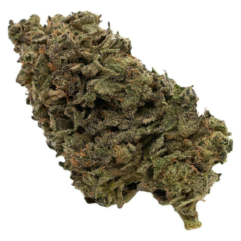 FIGR | Jungle Fumes | Flower | 3.5g