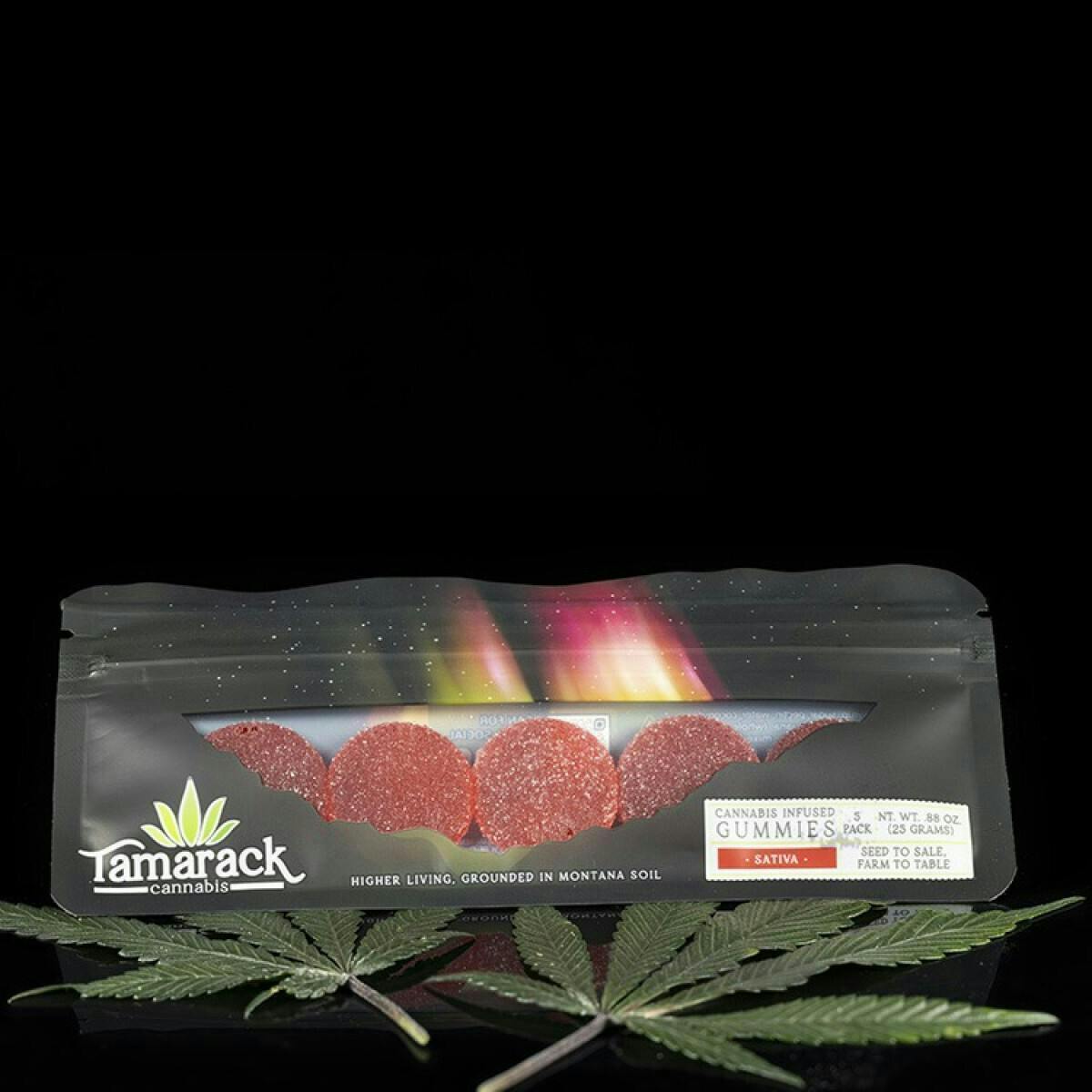 Tamarack | Regular Strength Gummie Gems 5pk - Cherry-Lime (Hybrid) - Sour at Tamarack Cannabis - Best Dispensary Kalispell
