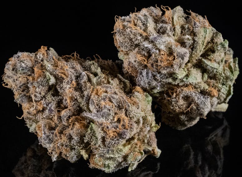 Tamarack | A Bud Bulk Flower - Sour Punch by Tamarack Cannabis