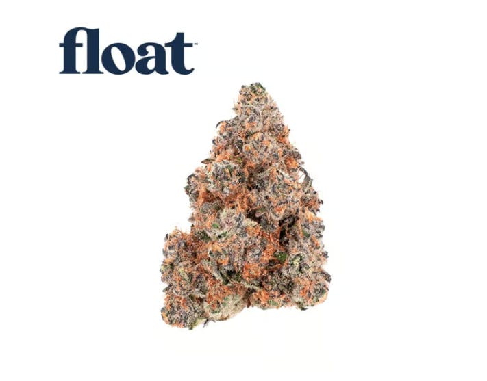 Float | Hash Burger | Big Buds | 3.5g by Float