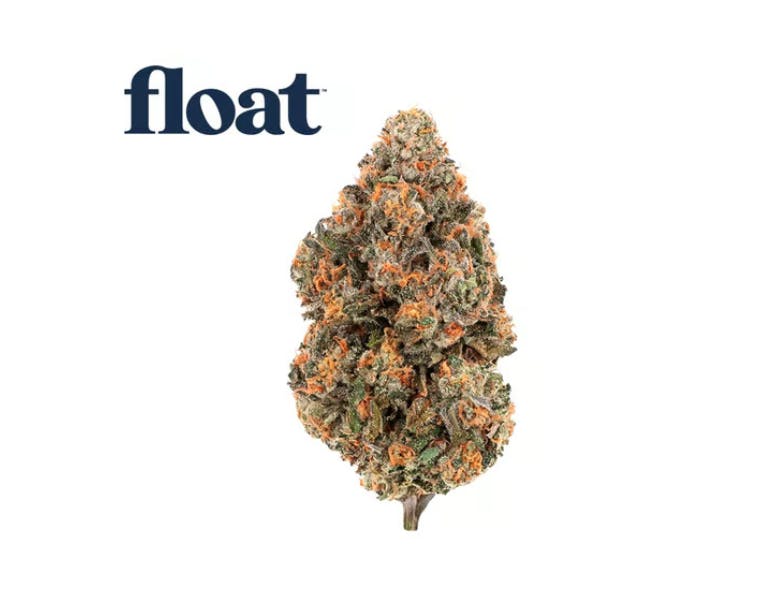 Float | Gelato 41 | Big Buds | 3.5g by Float