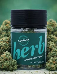 Herb | Blue Dream | Big Buds | 3.5g at Mrs. Green's CANNAry Cannabis Dispensary & Weed Delivery Batavia