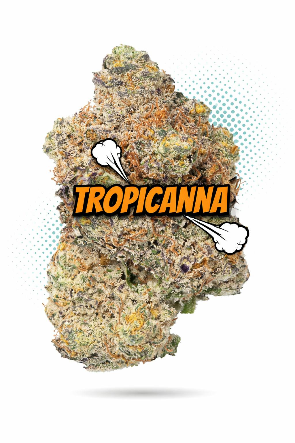 Frostiez — Tropicana