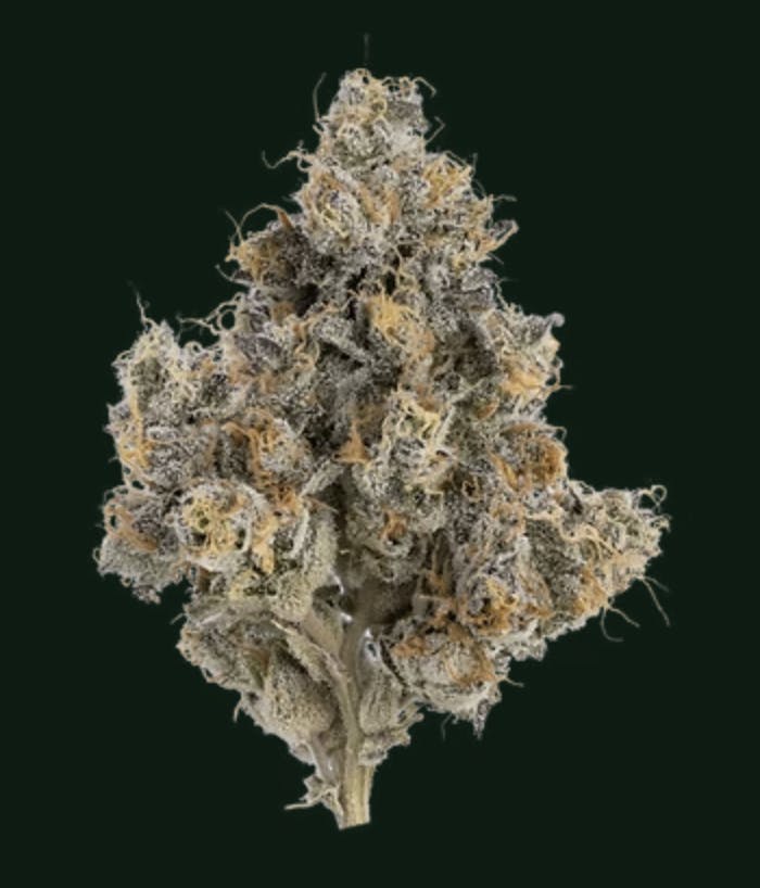 Green Dawg: English Breakfast