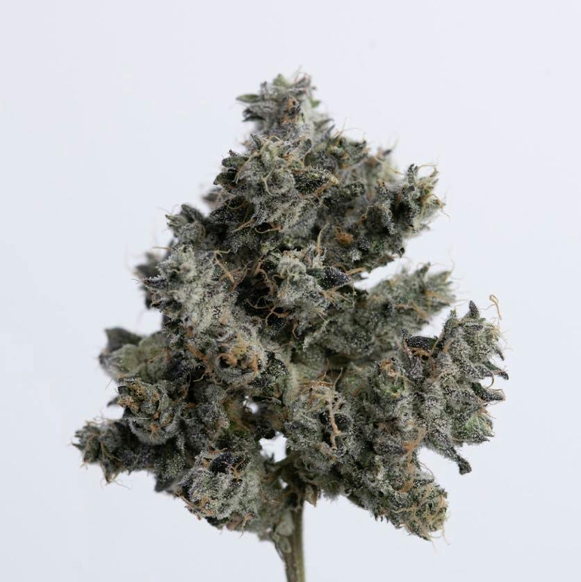 .357 | Smalls | 7g by Green Dawg