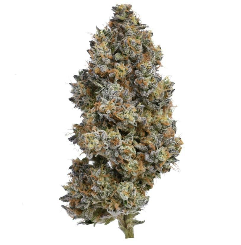 Oishi | Smalls | 7g by Green Dawg