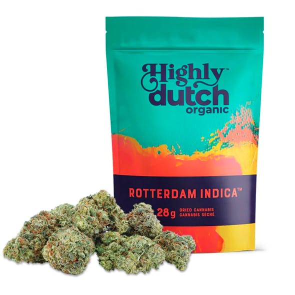 Rotterdam Og Big Buds