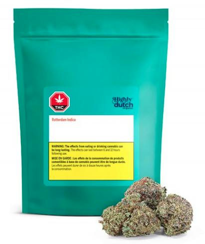 Highly Dutch Organic | Rotterdam OG | Big Buds | 7g