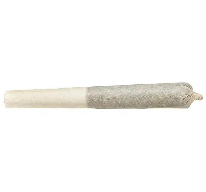 Highly Dutch Organic | Rotterdam OG | Mini Joints | 0.5g each | 14pk ...