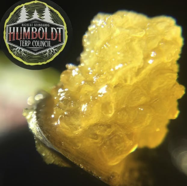 Humboldt Terp Council — Coffee