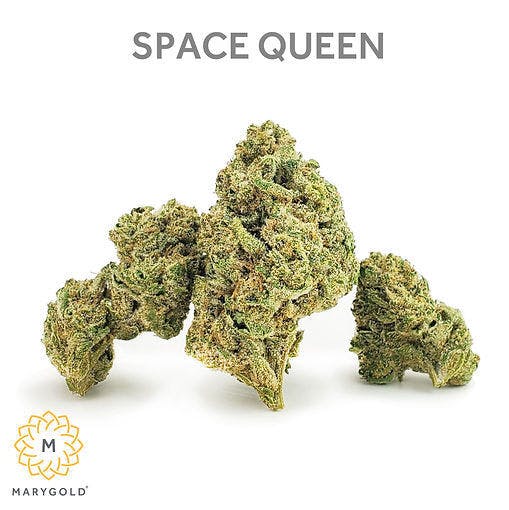 Space Queen Big Buds