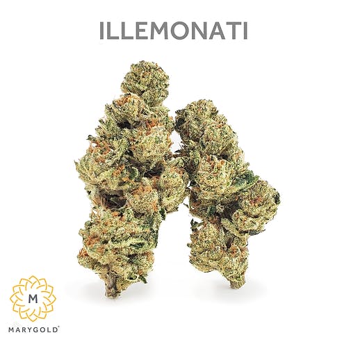 Illemonati Big Buds