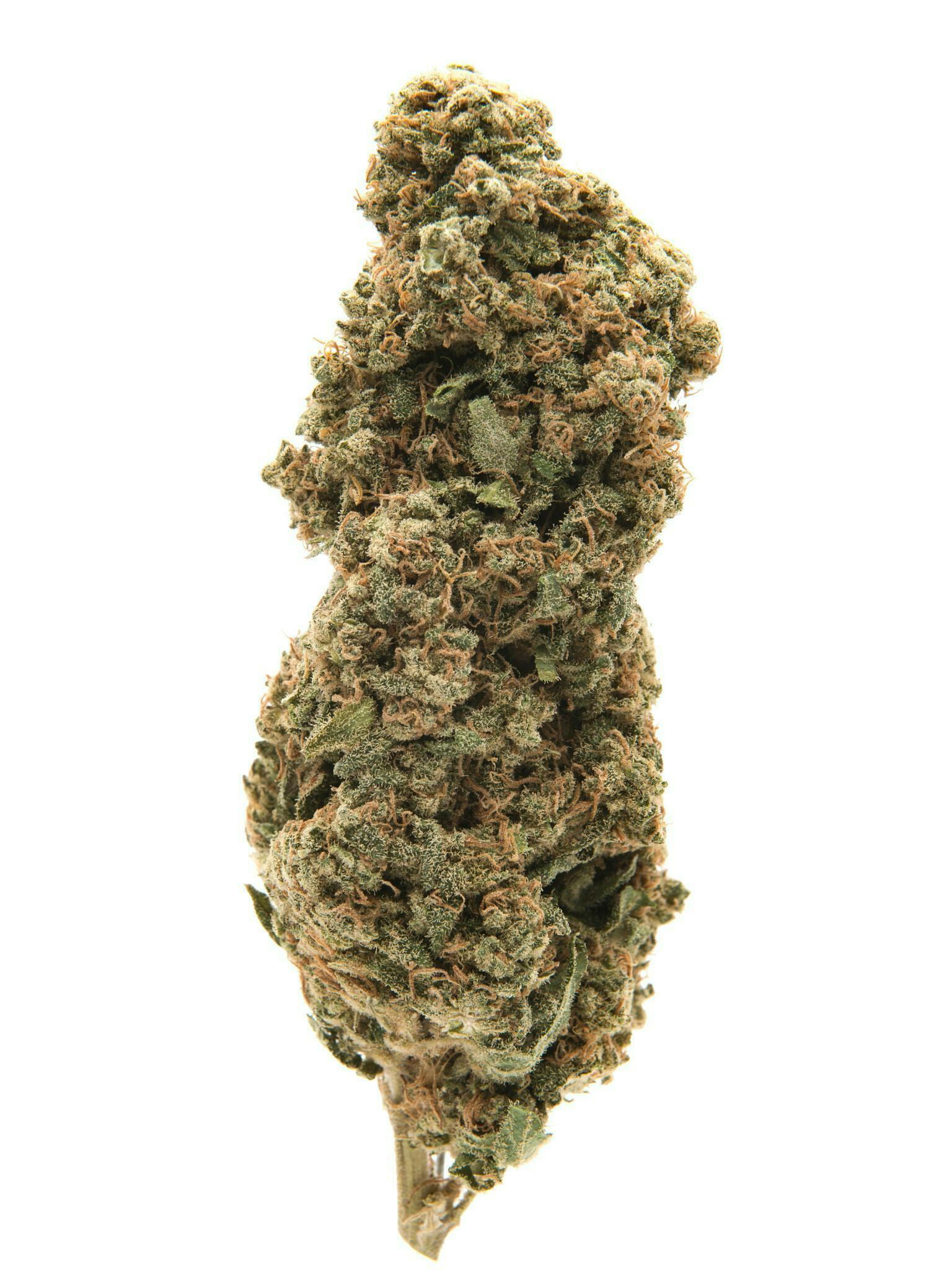 Grandi Guava Big Buds