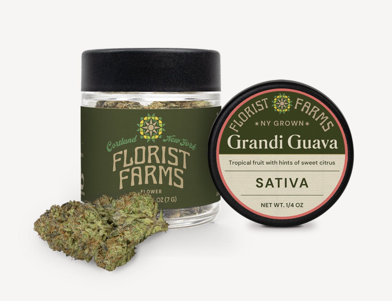 Florist Farms | Grandi Guava | Big Buds | 7g at The Green Door Dispensary