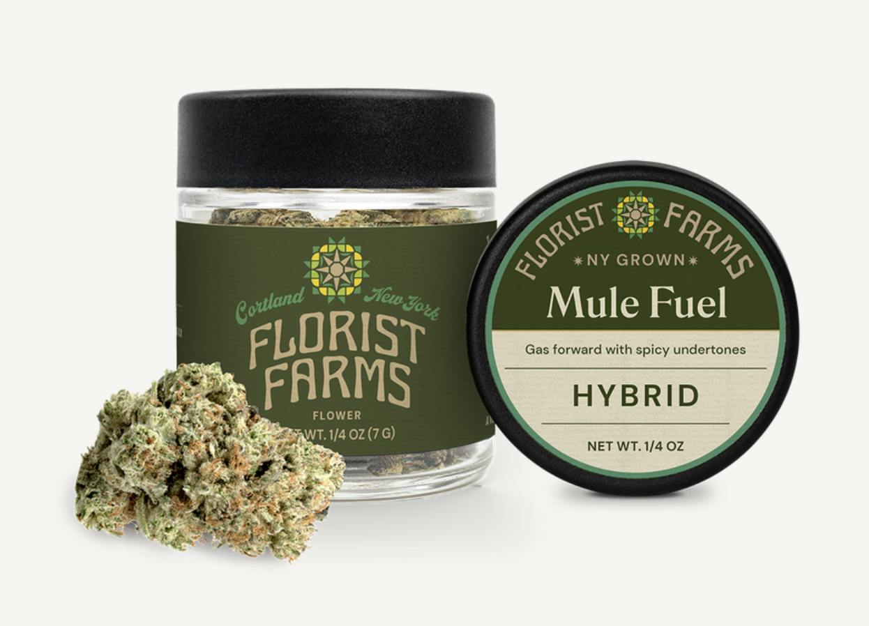 Florist Farms | Mule Fuel | Big Buds | 7g by Florist Farms