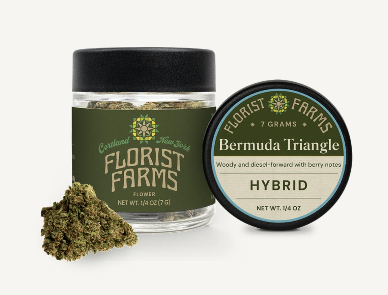 Bermuda Triangle | Big Buds | 7g by Florist Farms