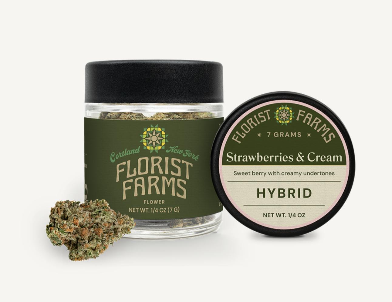 Florist Farms | Strawberries and Cream | Big Buds | 7g by Florist Farms
