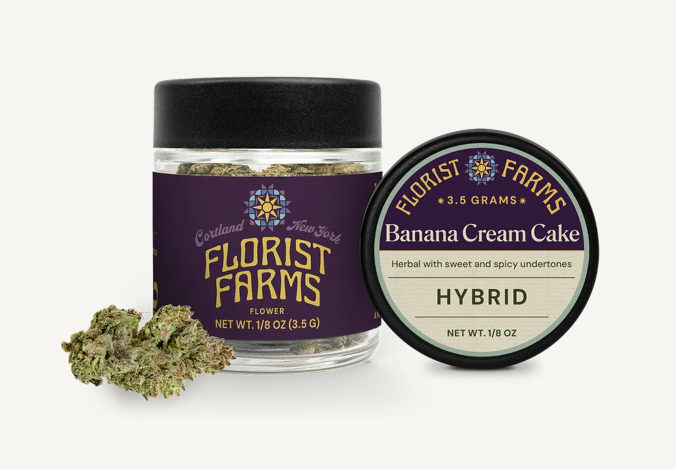 Banana Cream Cake | Big Buds | 3.5g by Florist Farms