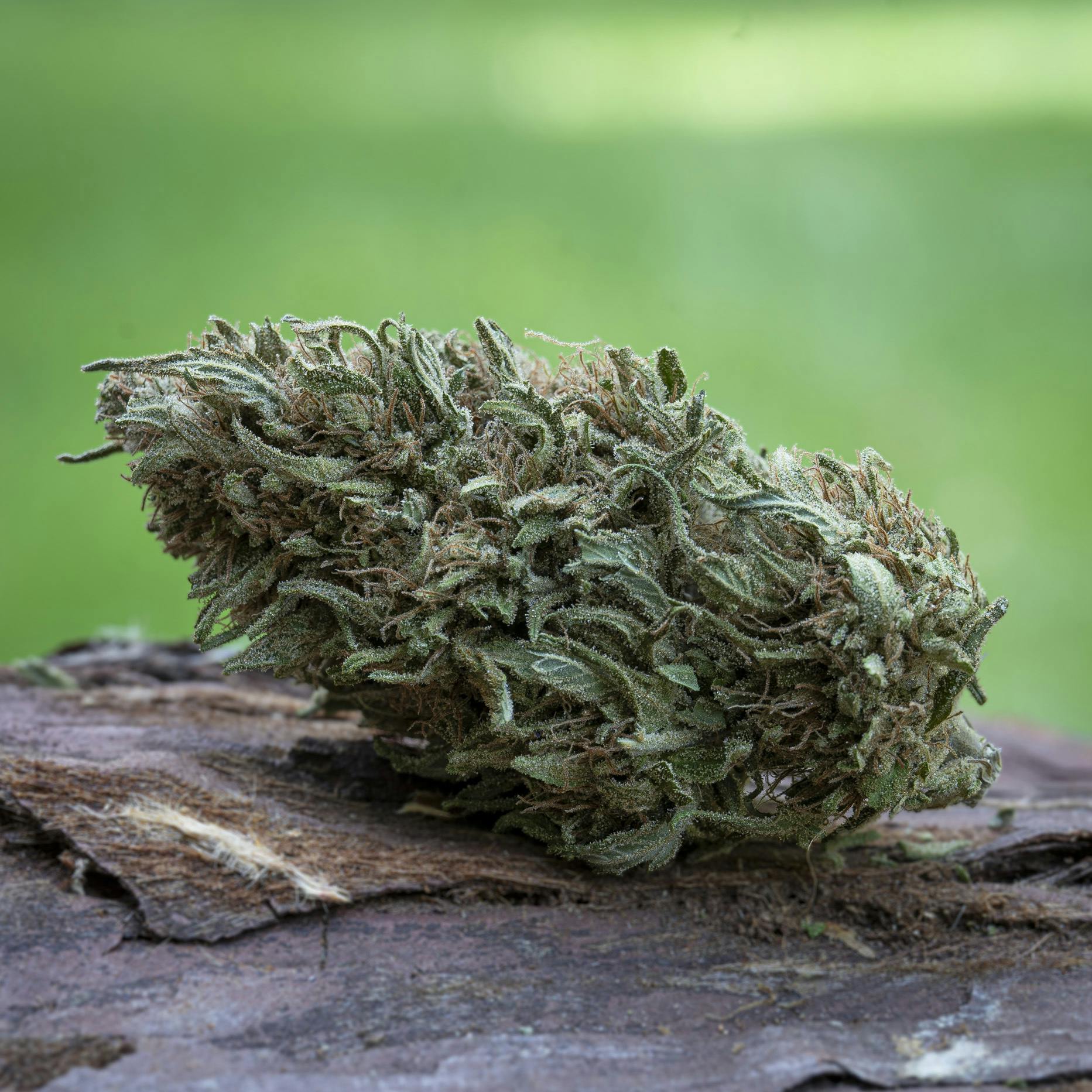 Farm Cut — Emerald Spirit Botanicals