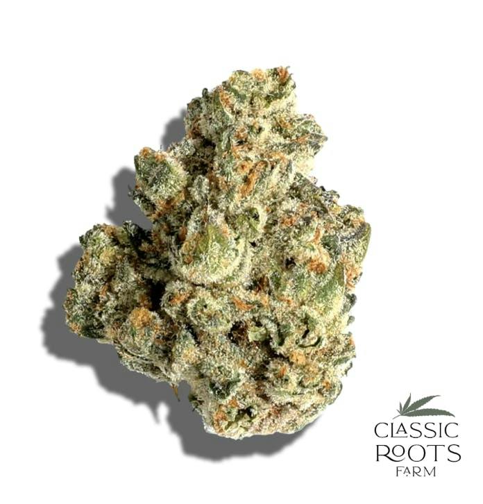 Classic Roots Farm | Maple Fumez | Flower by Classic Roots Farm